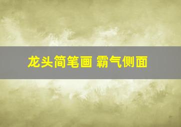 龙头简笔画 霸气侧面